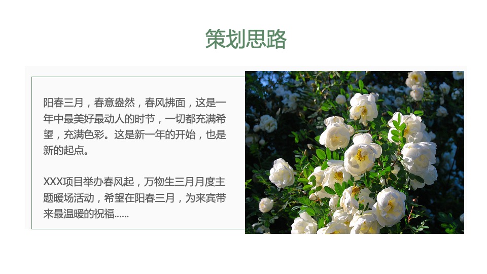 地产项目春季三月月度暖场（春风起·万物生主题）活动策划方案