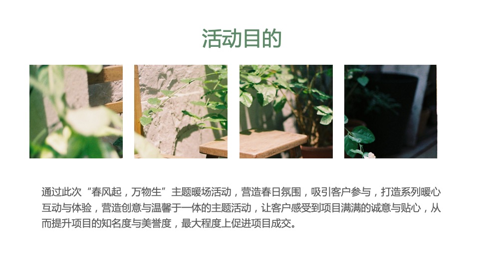 地产项目春季三月月度暖场（春风起·万物生主题）活动策划方案
