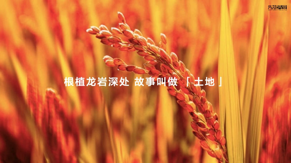 【住宅】先知先觉融创龙岩项目推广传播方案