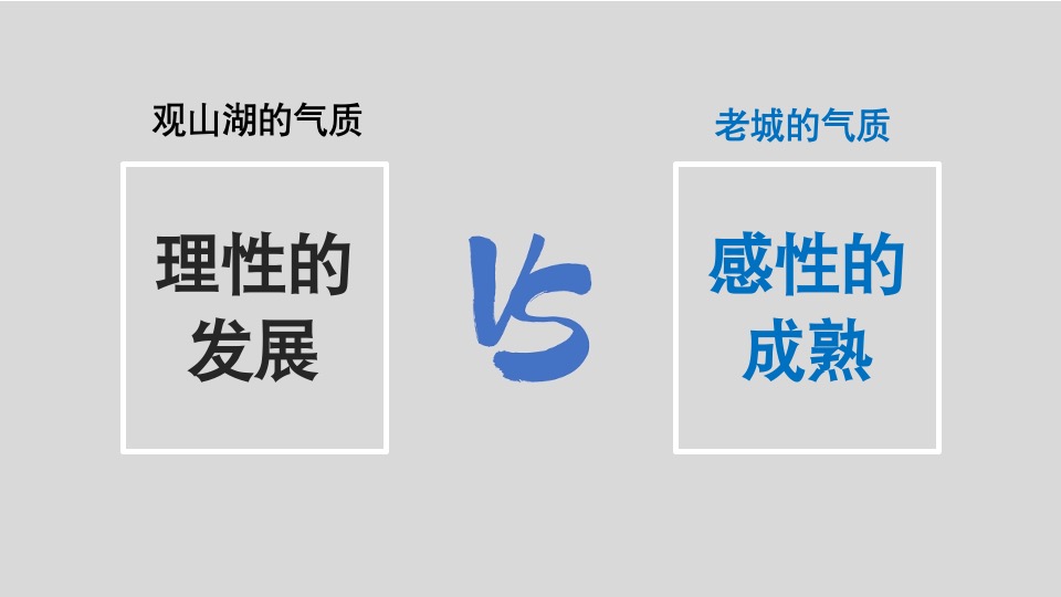 【综合体】2021年-异见广告-红星观山天铂推广提案