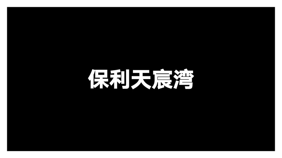 广州龙光天璞年度传播策略案
