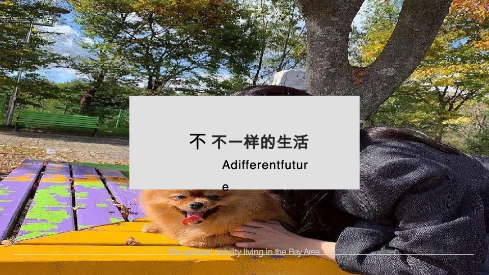 恒大翡翠湾推广策略提报