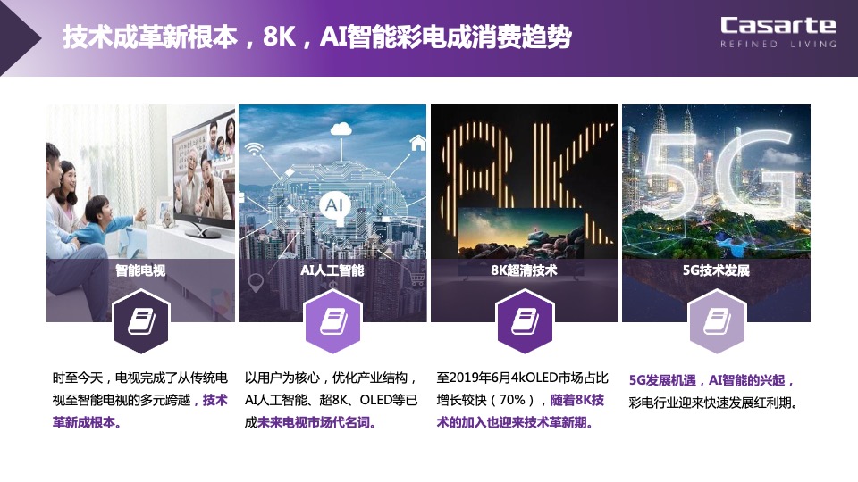 品牌电视年度整合营销策略方案