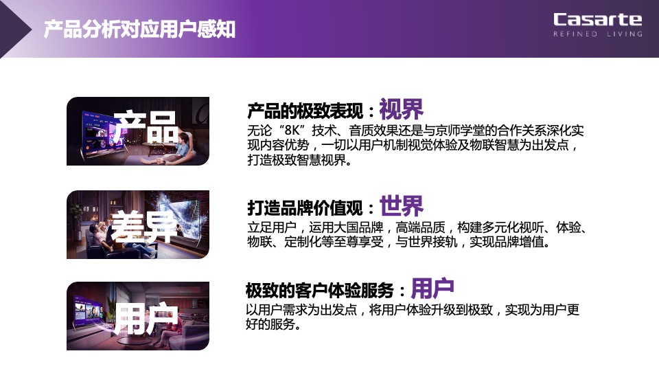 品牌电视年度整合营销策略方案