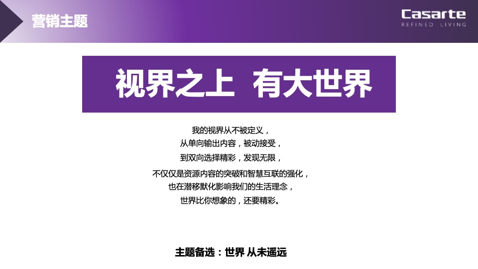 品牌电视年度整合营销策略方案