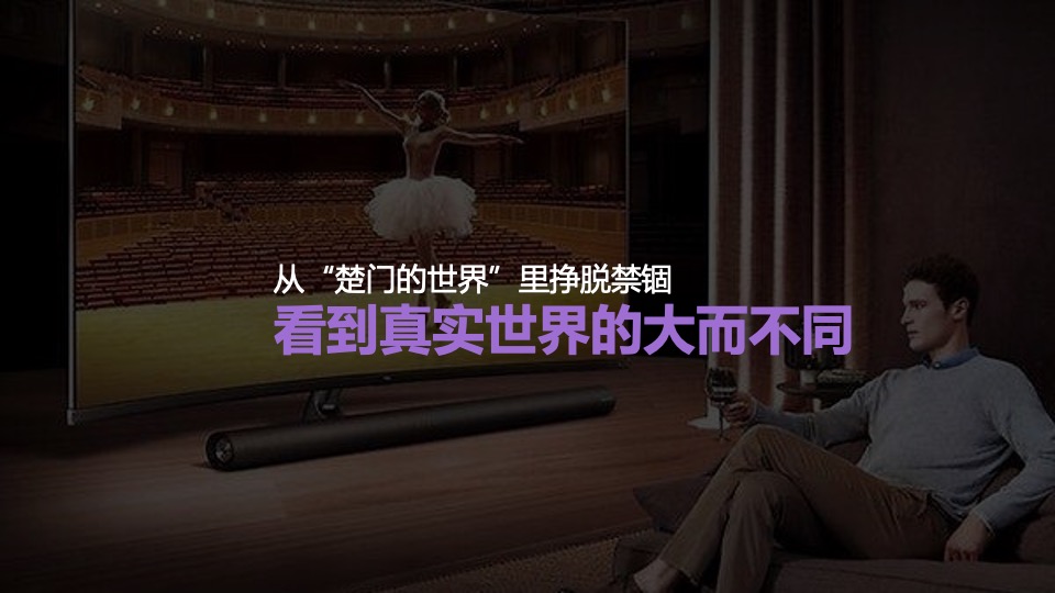 品牌电视年度整合营销策略方案