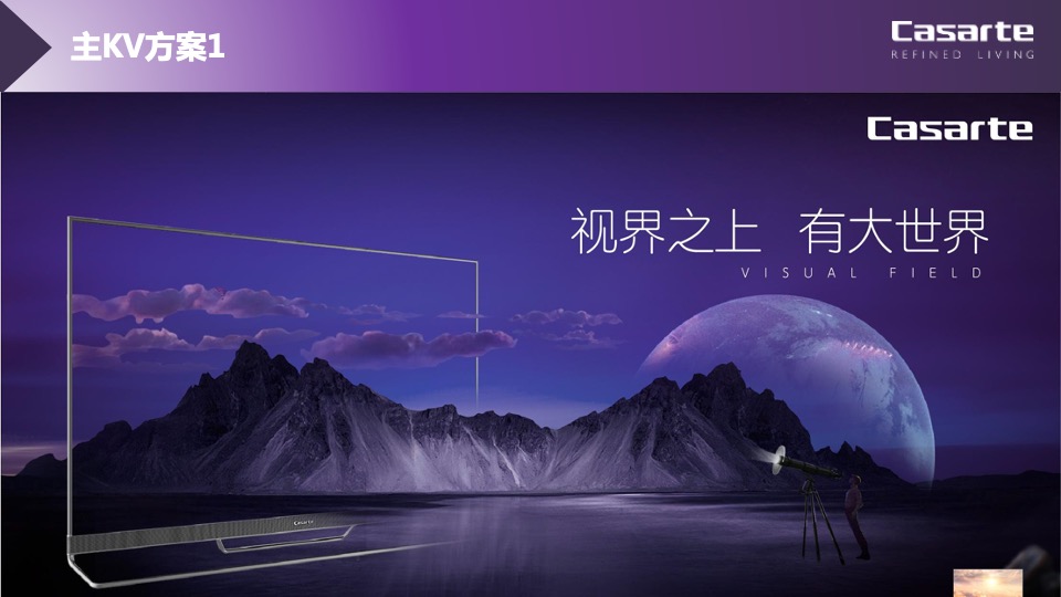 品牌电视年度整合营销策略方案