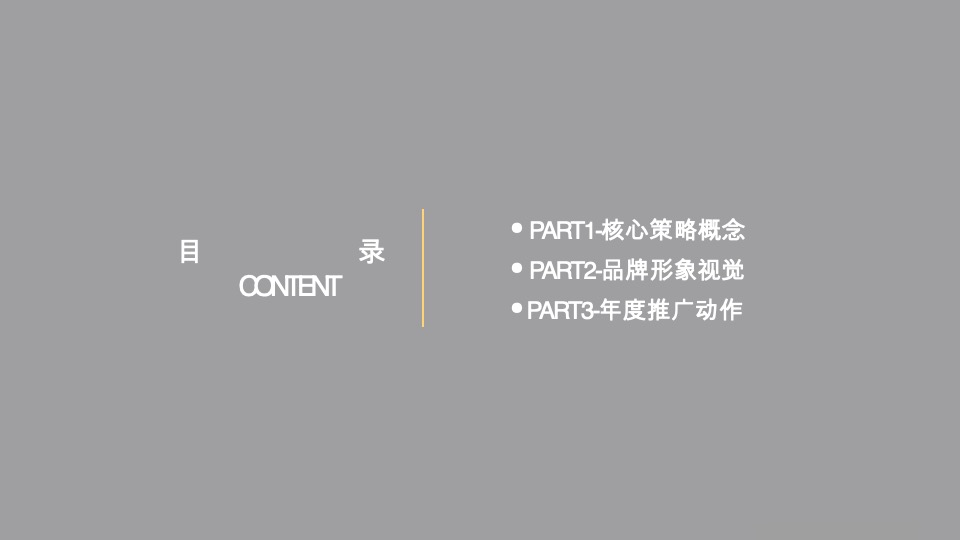 陆家嘴顶豪年度提报方案