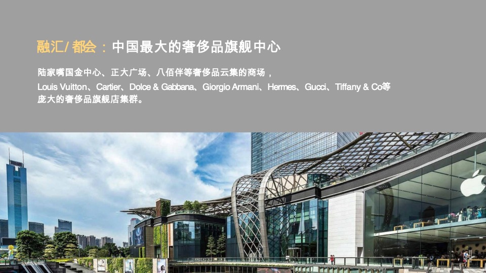 陆家嘴顶豪年度提报方案