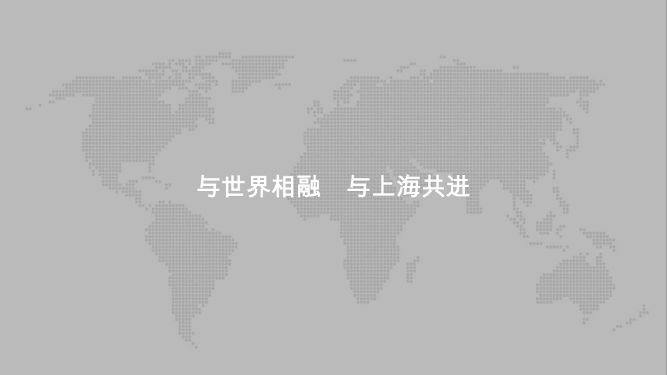 陆家嘴顶豪年度提报方案