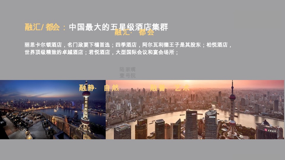 陆家嘴顶豪年度提报方案