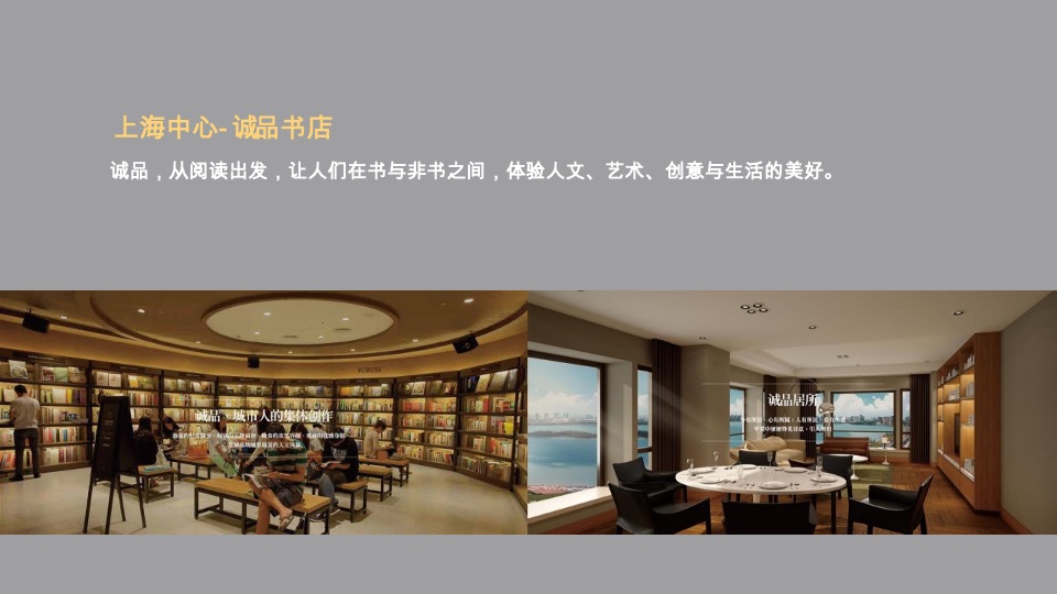 陆家嘴顶豪年度提报方案