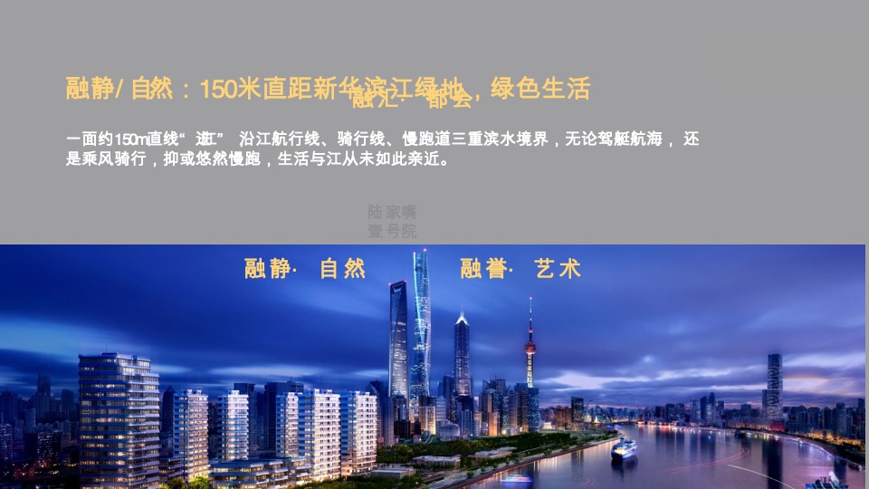 陆家嘴顶豪年度提报方案