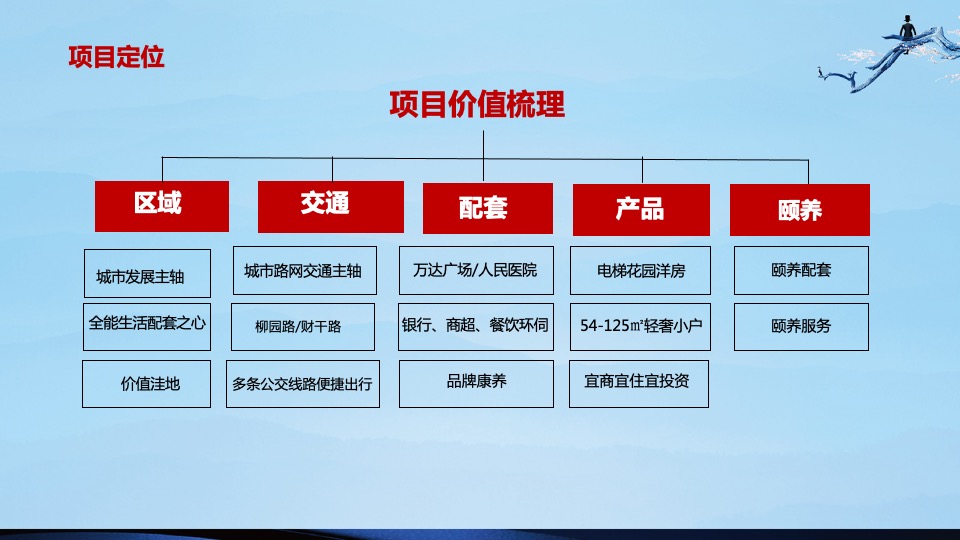 盛世康养雅园整合推广方案