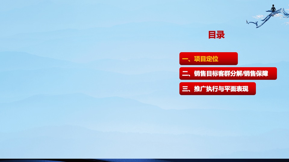 盛世康养雅园整合推广方案