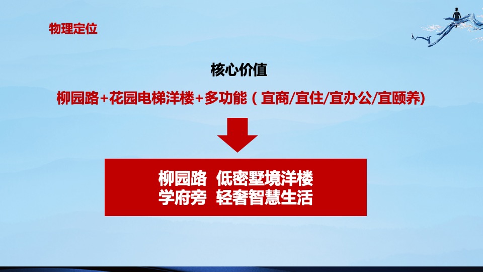 盛世康养雅园整合推广方案
