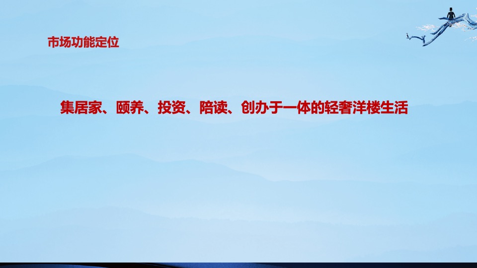 盛世康养雅园整合推广方案