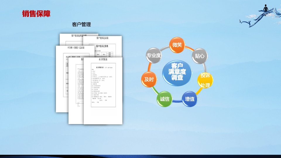 盛世康养雅园整合推广方案