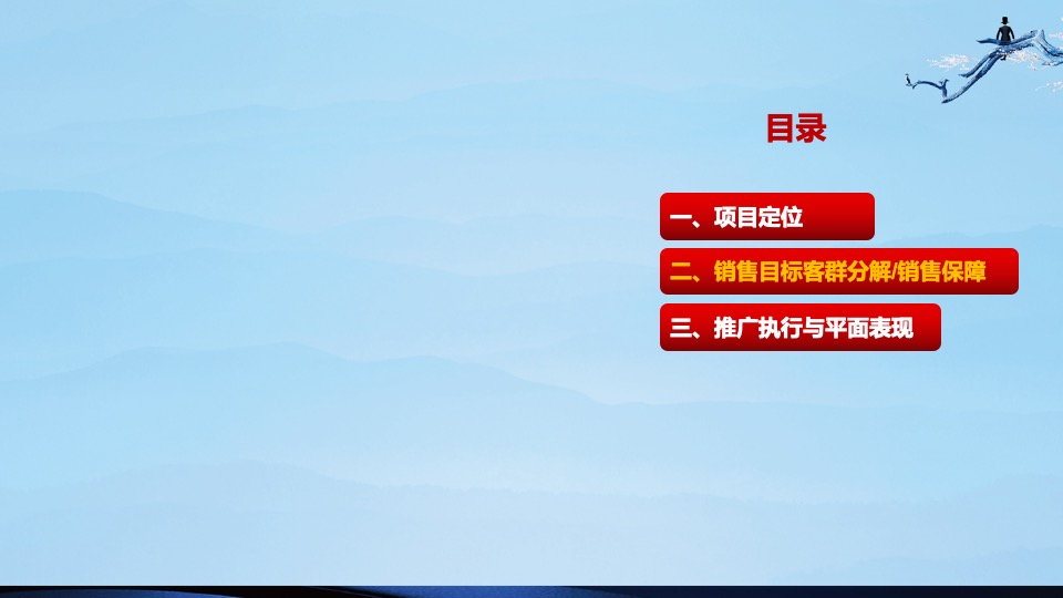 盛世康养雅园整合推广方案