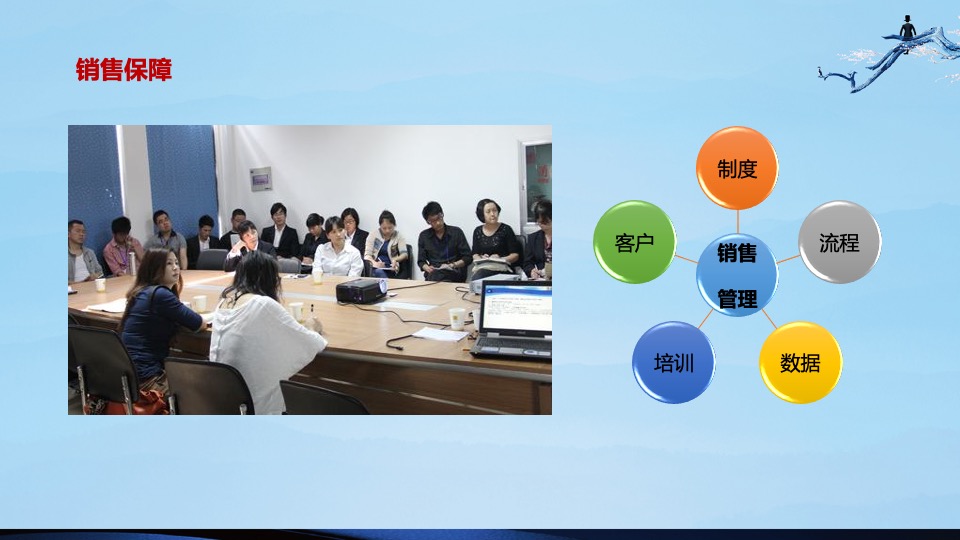 盛世康养雅园整合推广方案