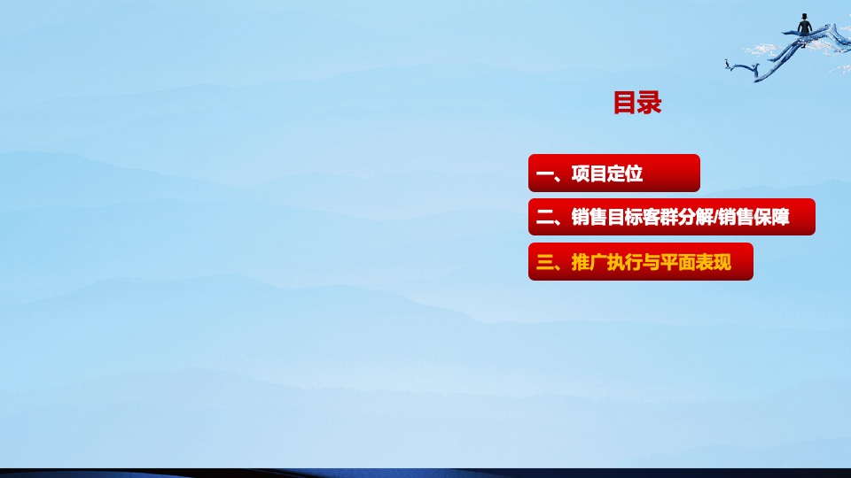 盛世康养雅园整合推广方案