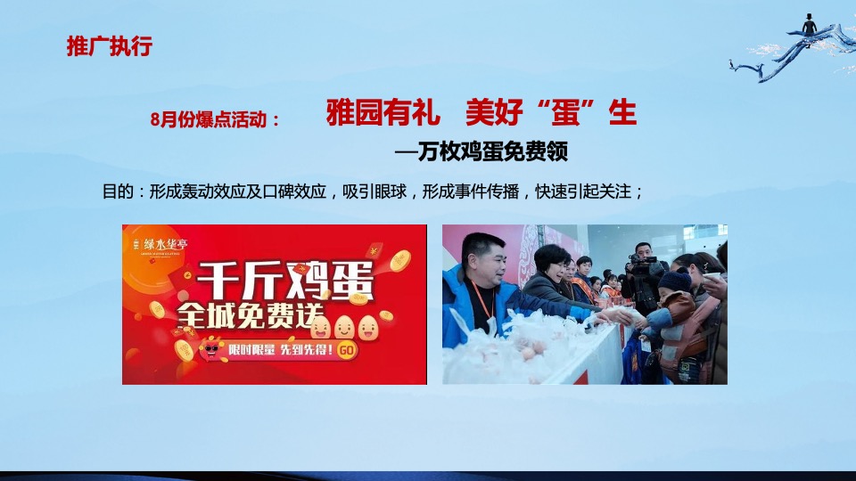 盛世康养雅园整合推广方案