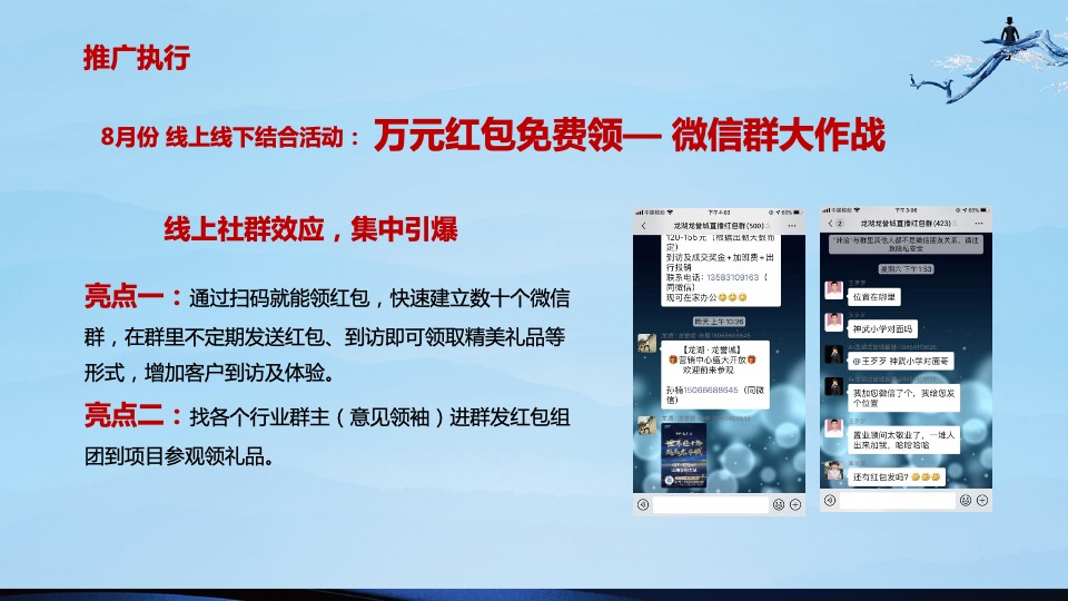 盛世康养雅园整合推广方案