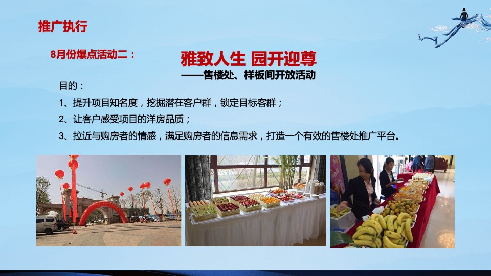 盛世康养雅园整合推广方案