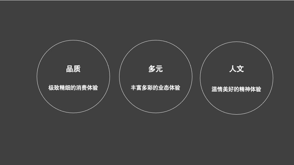 【商业综合体】深圳大仟里光明商业品牌策略推广提报