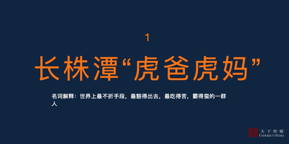 【住宅】株洲金茂悦广告全案终版