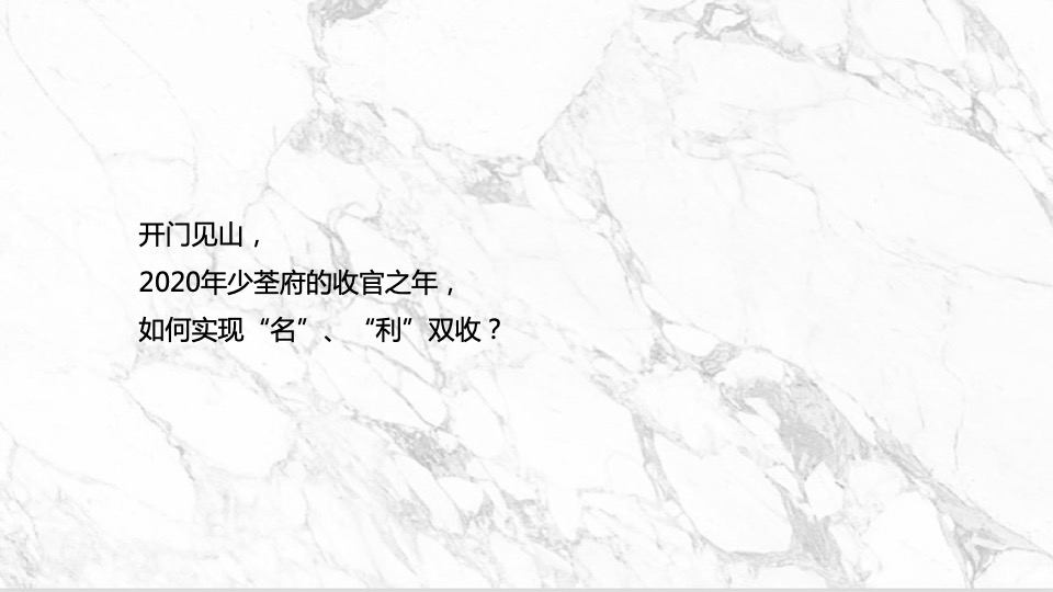 绿都少荃府年度推广提报