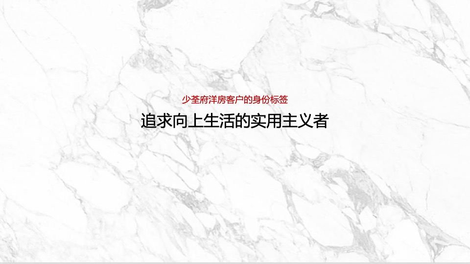 绿都少荃府年度推广提报