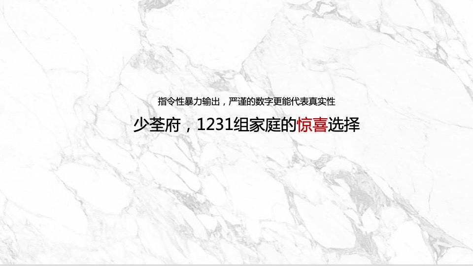 绿都少荃府年度推广提报