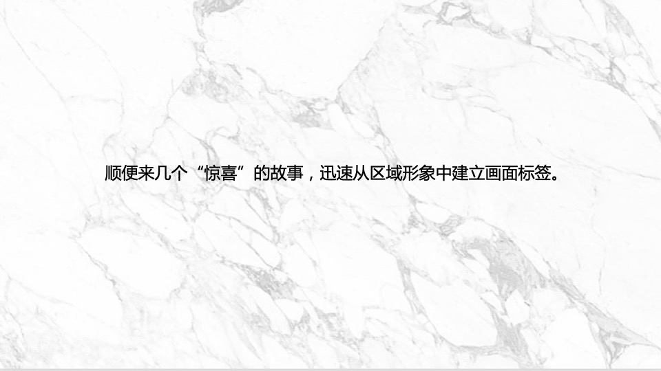 绿都少荃府年度推广提报