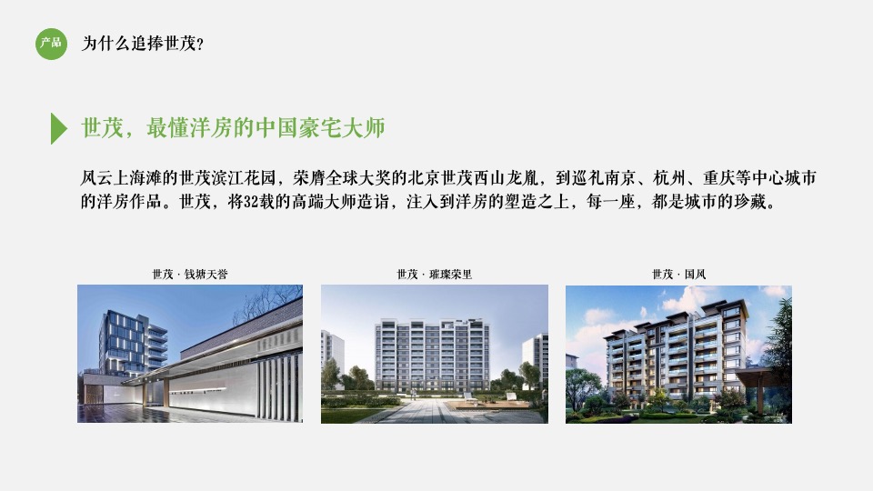 世茂璀璨里程2期项目入市推广提报