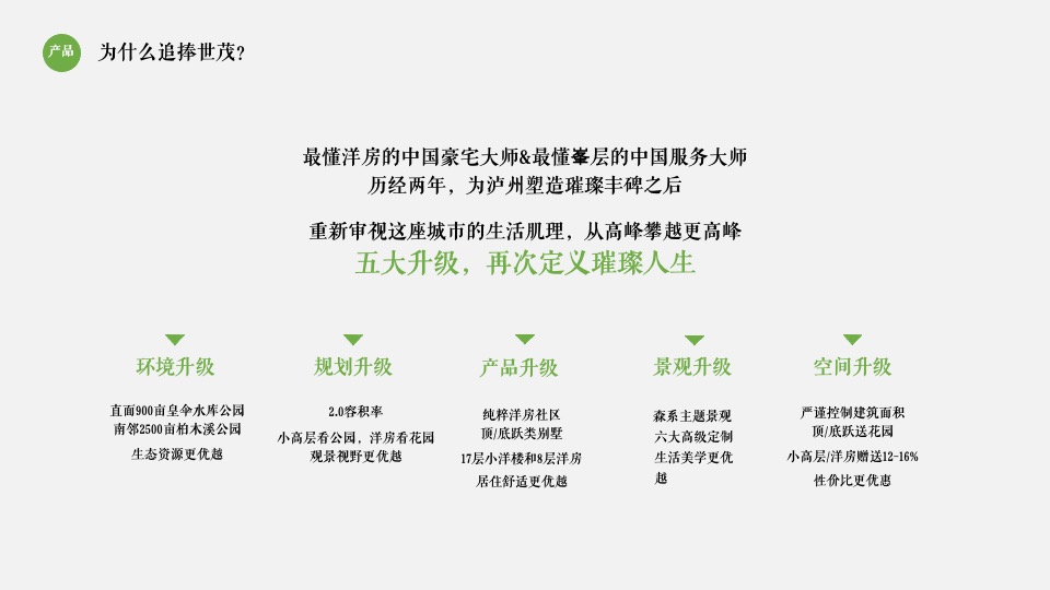 世茂璀璨里程2期项目入市推广提报