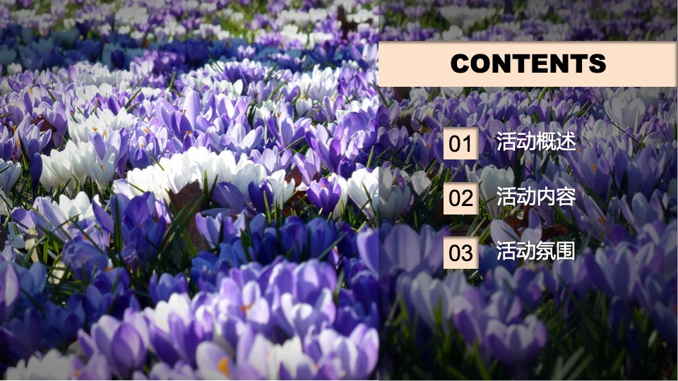 地产项目春季三月月度系列暖场（以鲜花·遇见美好主题）活动策划方案