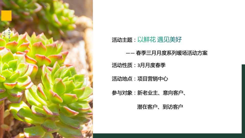 地产项目春季三月月度系列暖场（以鲜花·遇见美好主题）活动策划方案