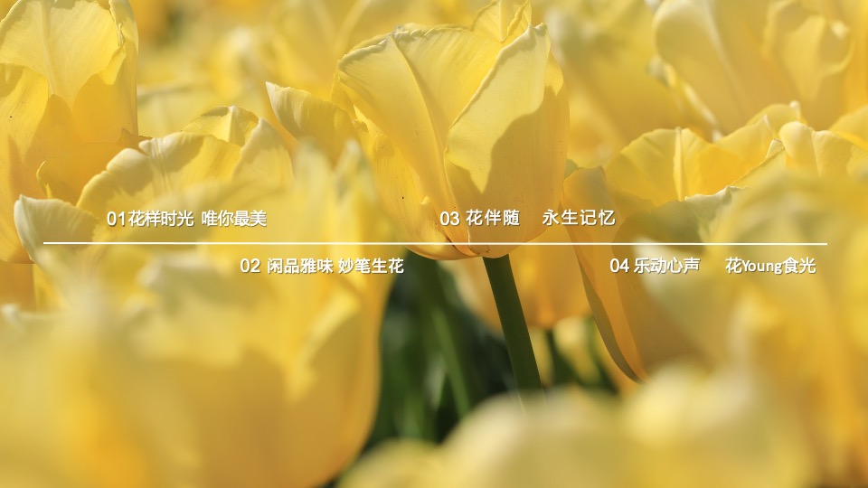 地产项目春季三月月度系列暖场（以鲜花·遇见美好主题）活动策划方案