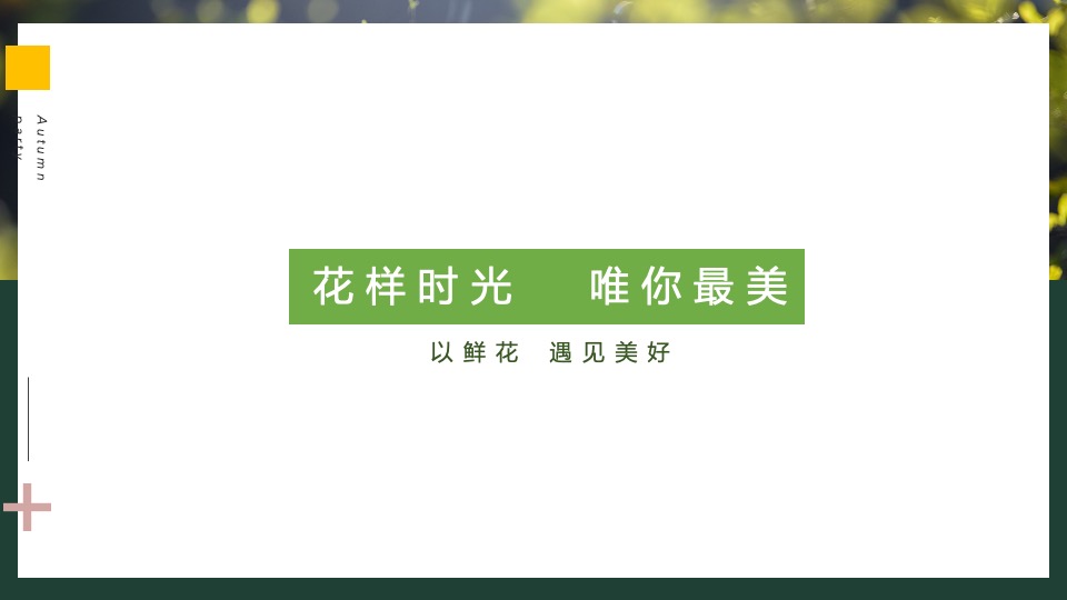 地产项目春季三月月度系列暖场（以鲜花·遇见美好主题）活动策划方案