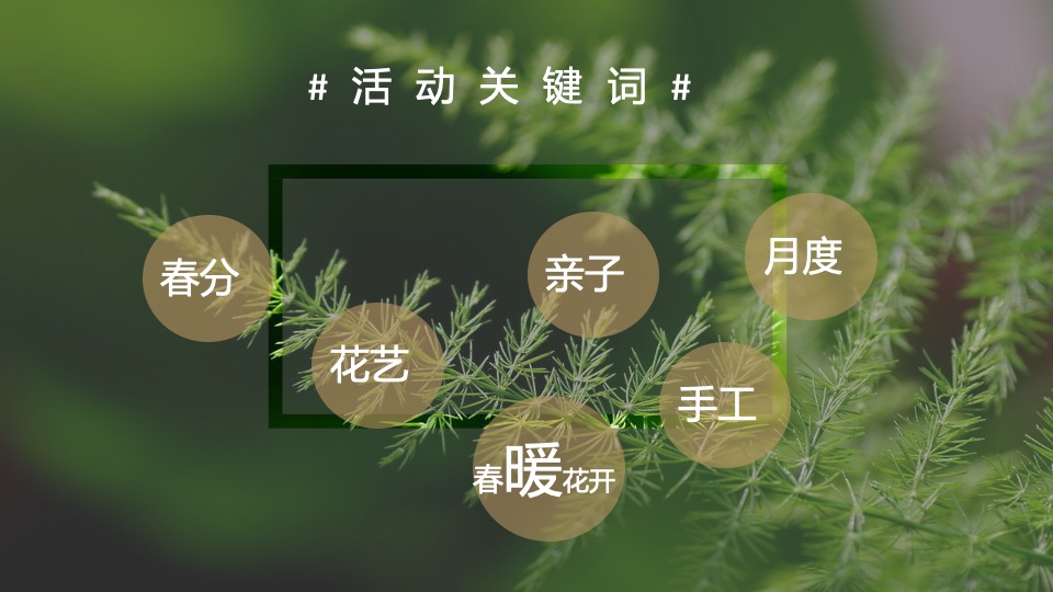 地产项目春季三月月度系列暖场（以鲜花·遇见美好主题）活动策划方案