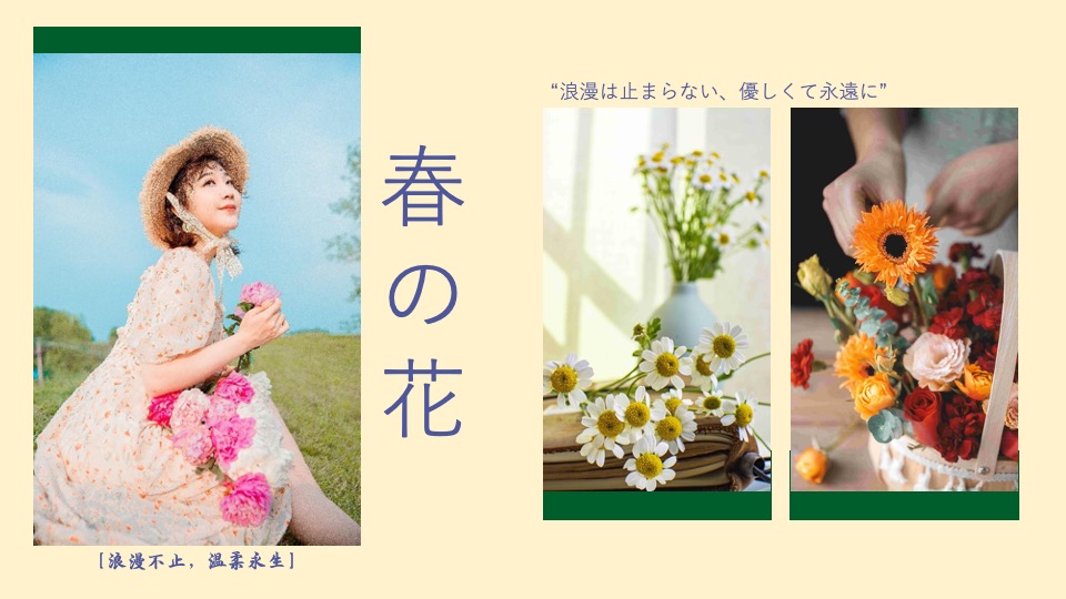 地产项目春季三月周末暖场（不负春光·花漾年华主题）活动策划方案