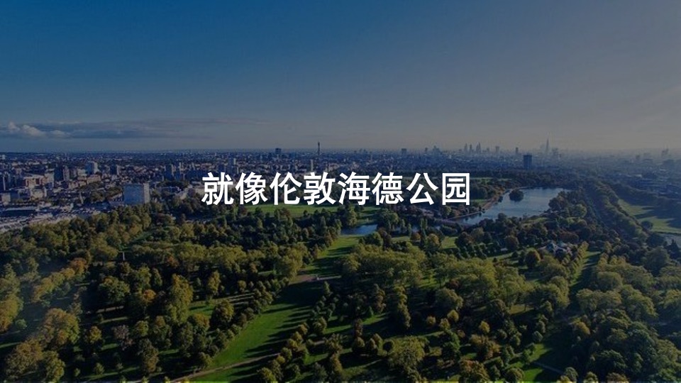 润达翠湖公园项目首开前推广策略