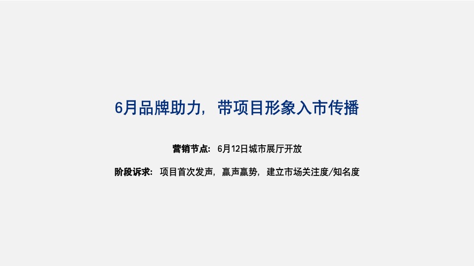 润达翠湖公园项目首开前推广策略