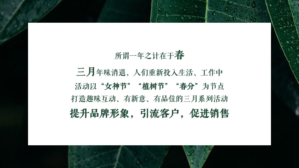 地产项目春季三月月度暖场（不负春光·相约春季主题）活动策划方案