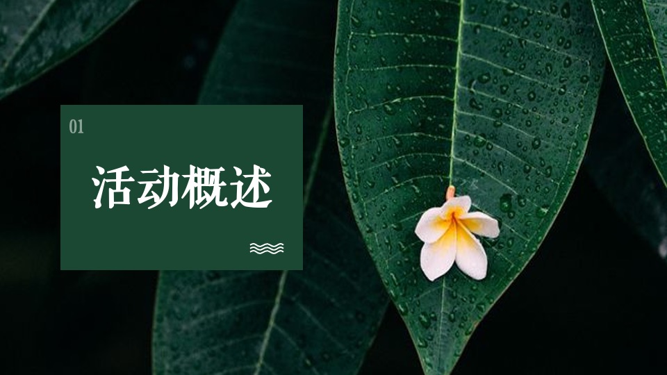 地产项目春季三月月度暖场（不负春光·相约春季主题）活动策划方案