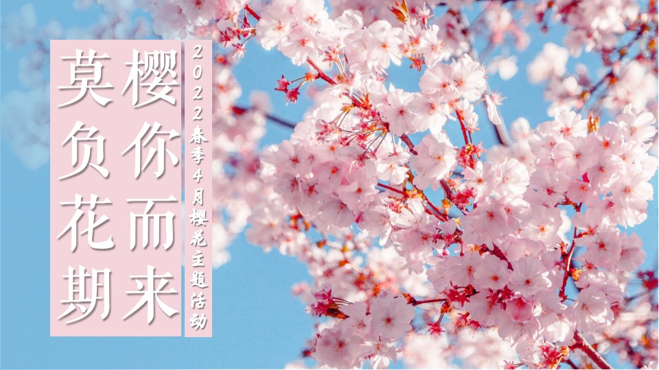 商业广场4月春季樱花节（莫负花期·樱你而来主题）活动策划方案