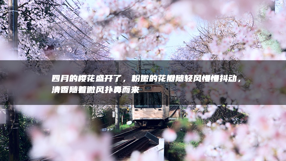 商业广场4月春季樱花节（莫负花期·樱你而来主题）活动策划方案