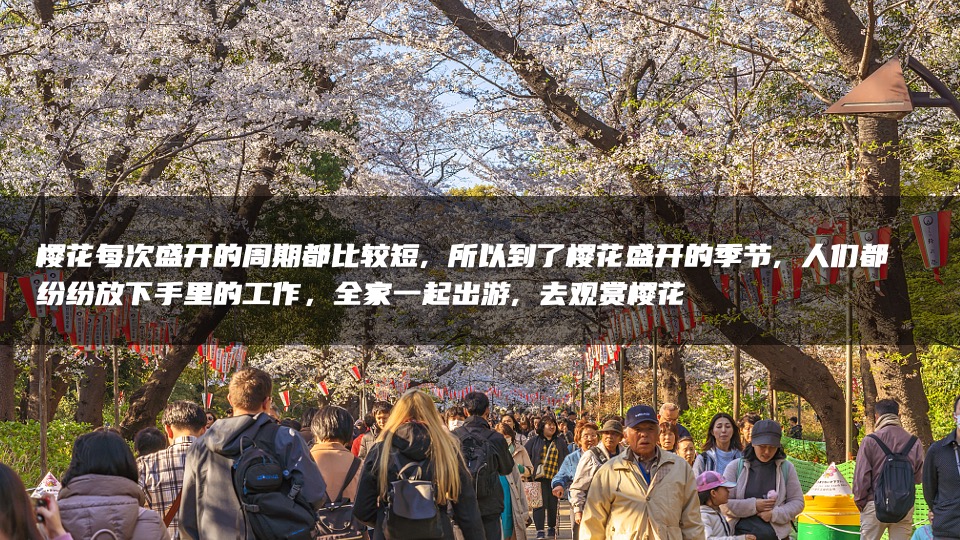 商业广场4月春季樱花节（莫负花期·樱你而来主题）活动策划方案