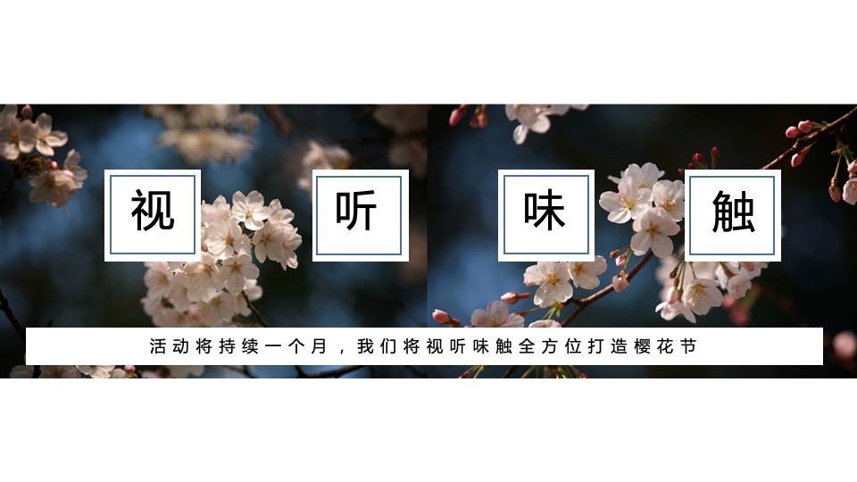 商业广场4月春季樱花节（莫负花期·樱你而来主题）活动策划方案